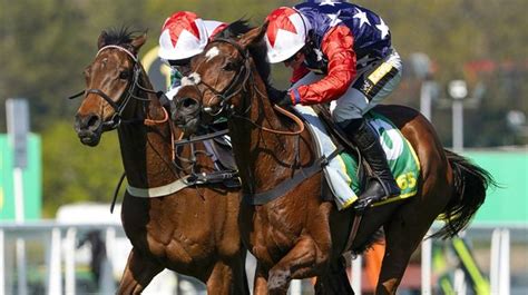 eider chase 2023|Vertem Eider Handicap Chase (GBB Race) .